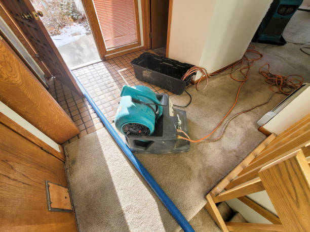 Best Carpet water damage restoration  in Riverside, CT