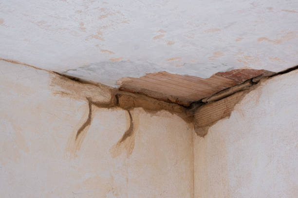 Best Water damage restoration near me  in Riverside, CT