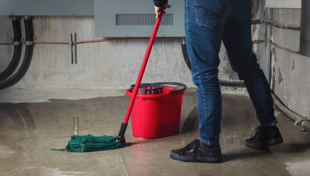 Best Flood restoration services  in Riverside, CT
