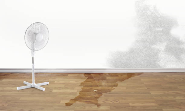 Best 24-hour water damage restoration  in Riverside, CT