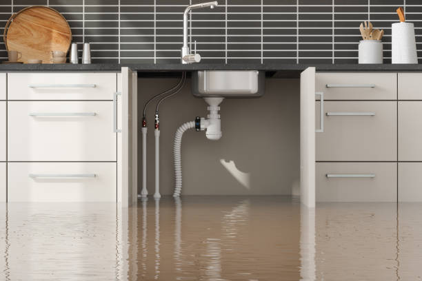 Best Water damage contractors near me  in Riverside, CT