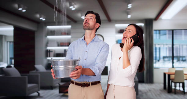Best Sewage cleanup and water damage restoration  in Riverside, CT